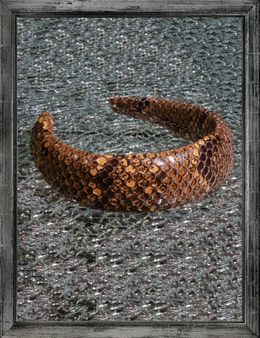 Python headband